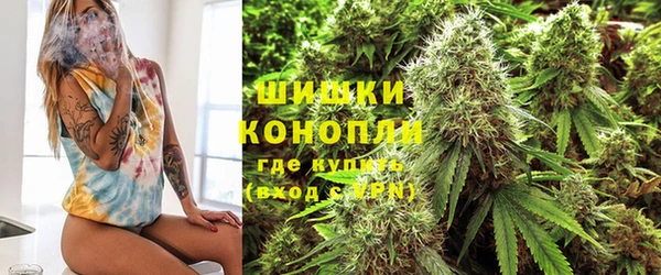 ГАЛЛЮЦИНОГЕННЫЕ ГРИБЫ Дмитровск