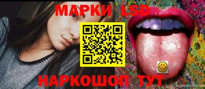 спиды Гатчина