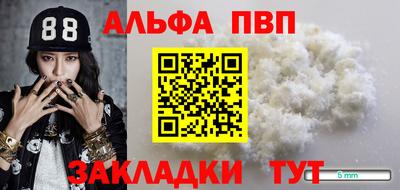 спиды Гатчина