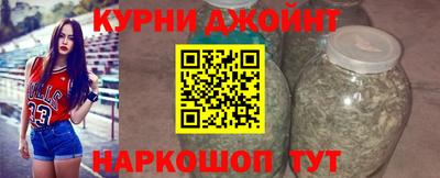 спиды Гатчина