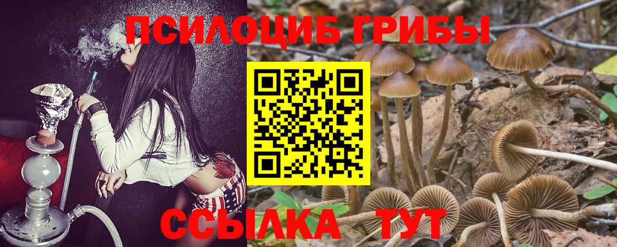 Галлюциногенные грибы мицелий  Вход с VPN  Нурлат 