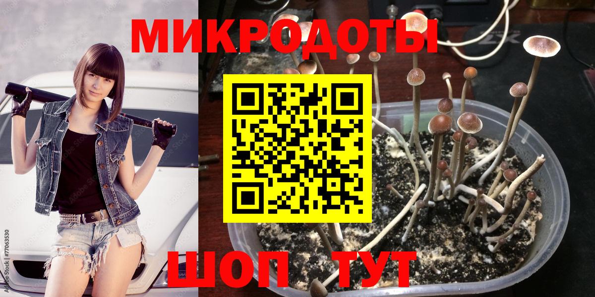 Псилоцибиновые грибы ЛСД Нурлат